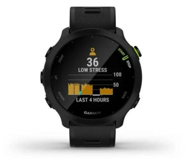 Часы Forerunner 55 (Black)